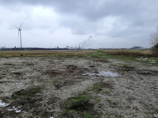 Plains of Zwijndrecht, Antwerp (Belgium)